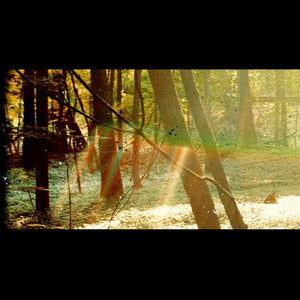CHILDISH GAMBINO | CAMP - 2LP - 2022 REISSUE