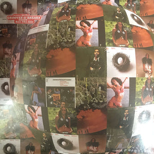VARIOUS | INVICTUS / HOT WAX GROOVES & BREAKS SELECTED BY BEN THE ACE - JP