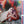 SOUNDTRACK | ZABRISKIE POINT - UK