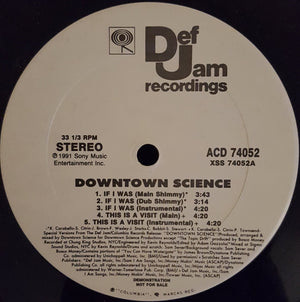 DOWNTOWN SCIENCE | IF I WAS - 12 - COMPANY SLEEVE