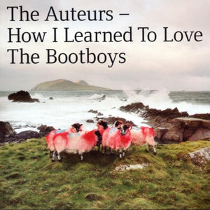 AUTEURS | HOW I LEARNED TO LOVE THE BOOTBOYS - 2014 REISSUE