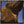 BILL LLOYD | FEELING THE ELEPHANT