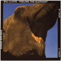 BILL LLOYD | FEELING THE ELEPHANT