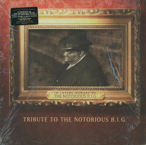 VARIOUS | TRIBUTE TO THE NOTORIOUS BIG 12