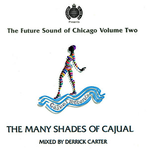 VARIOUS | MINISTRY OF SOUND FUTURE SOUND OF CHICAGO VOLUME 2