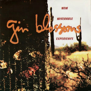 GIN BLOSSOMS | NEW MISERABLE EXPERIENCE