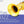 VARIOUS | PURE JAZZ (3CD)