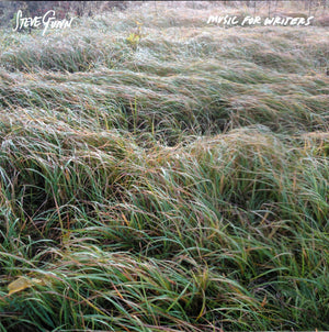 STEVE GUNN | MUSIC FOR WRITERS