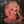 DOLLY PARTON | BURLAP AND SATIN