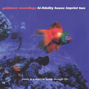 VARIOUS | HI FIDELITY HOUSE IMPRINT TWO