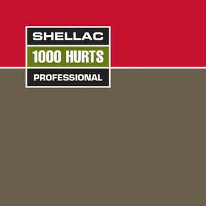SHELLAC | 1000 HURTS - BOX - WITH CD - ROUGH BOX