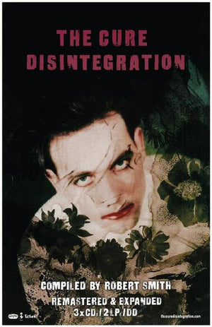 CURE DISINTEGRATION POSTER A3 PRINT 27 X 43CM