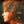 CILLA BLACK | SWEET INSPIRATION - NZ