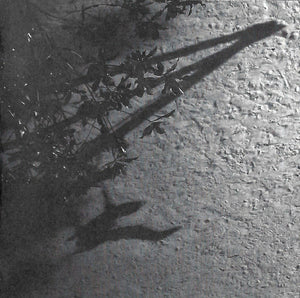 MAX RICHTER | BLUE NOTEBOOKS