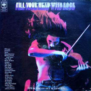 VARIOUS | FILL YOUR HEAD WITH ROCK - 2LP