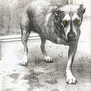 ALICE IN CHAINS | ALICE IN CHAINS AKA 3 LEGGED DOG (UNOFFICIAL COLOURED 2LP EDITION)