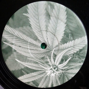 PLUS TWO | SHADES OF DANK 12 - US - GENERIC SLEEVE - SINGLE PLAYING SIDE