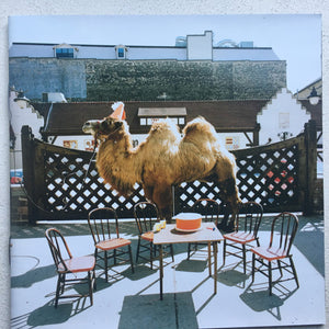 WILCO | WILCO (THE ALBUM)