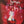 DIVINYLS | WHAT A LIFE - NZ / AU