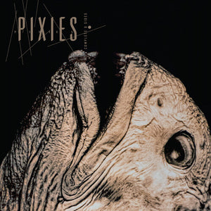 PIXIES | COMPLETE B SIDES - 1988 - 97 (REMASTERED) (2CD SET) (SOFTPACK)