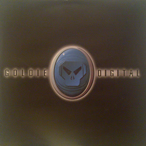GOLDIE / FEATURING KRS ONE | DIGITAL 2X12 - UK PROMO - SLEEVE WEAR - BIT ROUGH