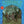 CREEDENCE CLEARWATER REVIVAL | CREEDENCE CLEARWATER REVIVAL - US