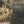 SANHEDRIN | LIGHTS ON
