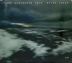 TORD GUSTAVSEN | BEING THERE