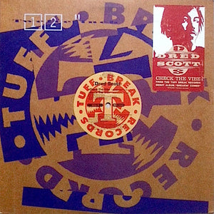 DRED SCOTT | CHECK THE VIBE - 12 - COMPANY SLEEVE WITH HYPE