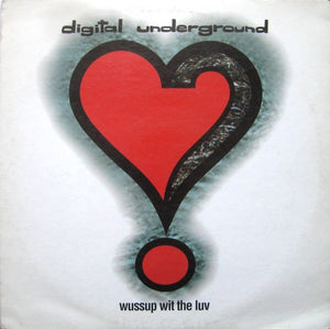DIGITAL UNDERGROUND | WUSSUP WIT THE LUV - 12