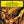 MOZART / BOHM | REQUIEM