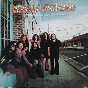 LYNYRD SKYNYRD | PRONOUNCED LEH - NERD SKIN - NERD - US MCA - SLEEVE ROUGH
