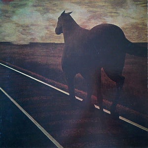 BRUCE COCKBURN | NIGHT VISION - CANADIAN GATEFOLD