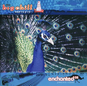 VARIOUS | BIG CHILL ENCHANTED 02 (2CD)