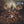 SODOM | EPITOME OF TORTURE (DIGI)