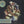 HOT CHIP | BUGGED OUT MIX (2CD) (DIGI)