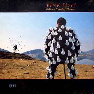 PINK FLOYD | DELICATE SOUND OF THUNDER - 2LP - UK