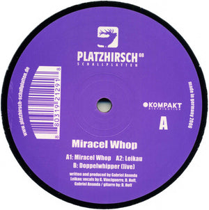 GABRIEL ANANDA | MIRACEL WHOP 12 - GERMAN PRESSING - GENERIC RECORD COMPANY SLEEVE