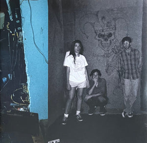 HARRY PUSSY | YOU'LL NEVER PLAY THIS TOWN AGAIN (2LP SET)