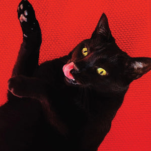 RYAN ADAMS | BIG COLORS - RED - WITH BONUS SEVEN INCH