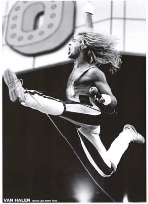 DAVID LEE ROTH VAN HALEN 1980 POSTER 196