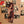 RUBY STARR | SCENE STEALER