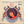 KITTY WELLS | LOVE MAKES THE WORLD GO AROUND