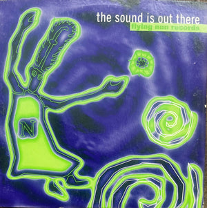 VARIOUS | SOUND IS OUT THERE FLYING NUN RECORDS (CARD SLEEVE)