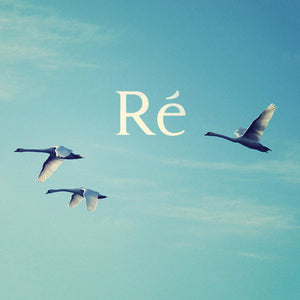 RE | RE (DIGI)
