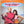 HERBIE MANN / TAMIKO JONES | MANN AND A WOMAN