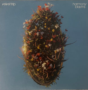 VELVET TRIP | HARMONY BLOOMS - YELLOW WAX
