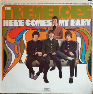 TREMELOES | HERE COMES MY BABY
