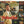 CLIFF RICHARD / SHADOWS | YOUNG ONES