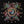 HAWKWIND | X IN SEARCH OF SPACE - 1987 UK